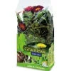 JR Farm Nager-Ergänzungsfutter Grainless Plus Salbei und Löwenzahn 100 g