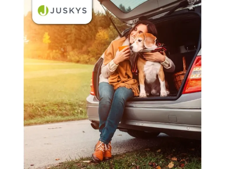 Juskys Faltbare Hundetransportbox Lassie M Beige