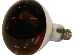 Kerbl Hartglas-Infrarotlampe 150 W