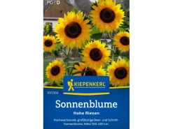 Kiepenkerl Sonnenblume "Hohe Riesen" Helianthus annuus
