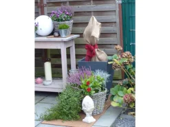 Kokosfaser Rückwand für Terrarien Natur 120 cm x 60 cm