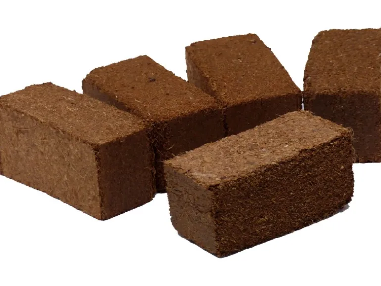 Kokosfaser Ziegel mini - Bodengrund für Terrarien, Insektarien - 5er Set (5 x 2)