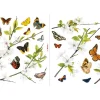 Komar Fenstersticker Cheerful 31 cm x 31 cm