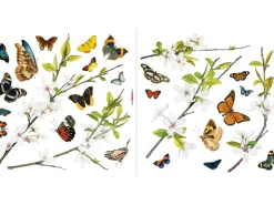 Komar Fenstersticker Cheerful 31 cm x 31 cm