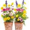 Komar Fenstersticker Springtime 31 cm x 31 cm