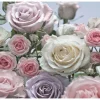 Komar Fototapete Floraison 368 cm x 254 cm FSC®