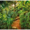 Komar Fototapete Jungle Trail 368 cm x 254 cm FSC®