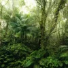 Komar Fototapete Mindfulness Grün 350 x 250 cm 611636