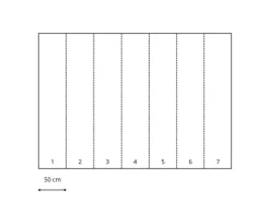 Komar Fototapete Mindfulness Grün 350 x 250 cm 611636