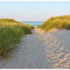 Komar Fototapete Sandy Path 368 cm x 254 cm FSC®