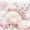 Komar Fototapete Spring Roses Hellrosa 368 x 254 cm 611041