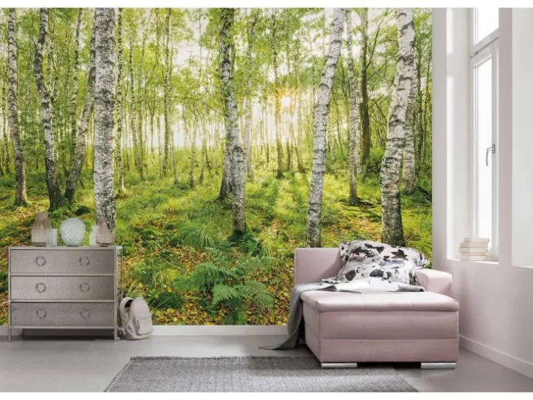 Komar Fototapete Vlies Birch Trees 400 x 250 cm
