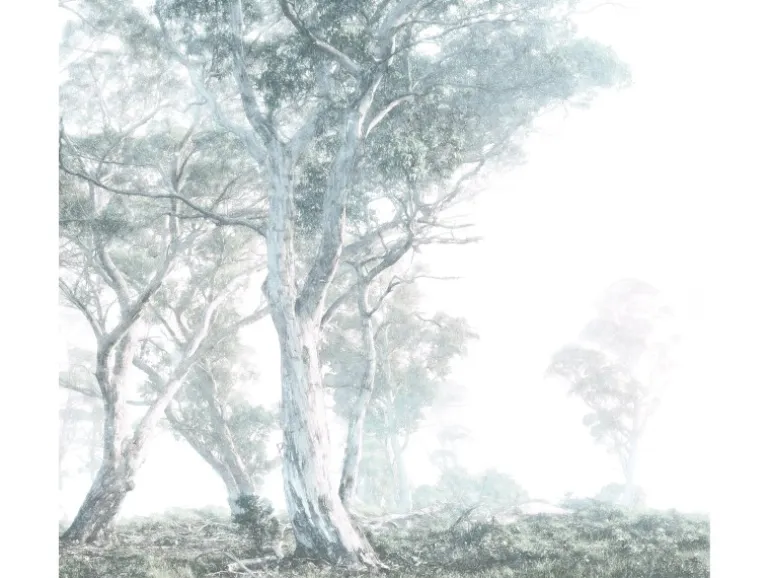 Komar Fototapete Vlies Magic Trees 300 x 280 cm