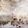 Komar Fototapete Vlies Time 300 x 250 cm