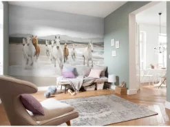 Komar Fototapete White Horses 368 cm x 254 cm FSC®