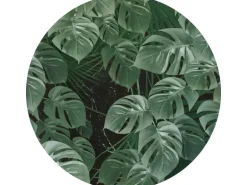 Komar Vlies Fototapete Novel Monstera Selbstklebend Ø 125 cm