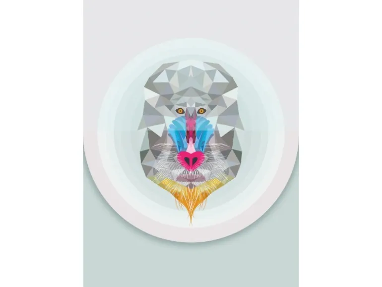 Komar Wandbild Baboon 50 x 70 cm