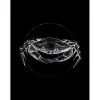 Komar Wandbild Crab Black 30 x 40 cm