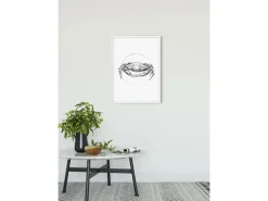 Komar Wandbild Crab White 50 x 70 cm