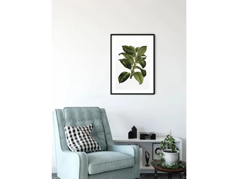 Komar Wandbild Elastica Tree 30 x 40 cm