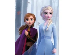 Komar Wandbild Frozen Sisters Wood 30 x 40 cm