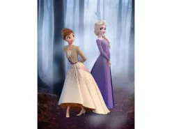 Komar Wandbild Frozen Wood Walk 50 x 70 cm