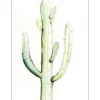 Komar Wandbild Saguaro Watercolor 40 x 50 cm