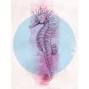 Komar Wandbild Sea Horse Circle 50 x 70 cm