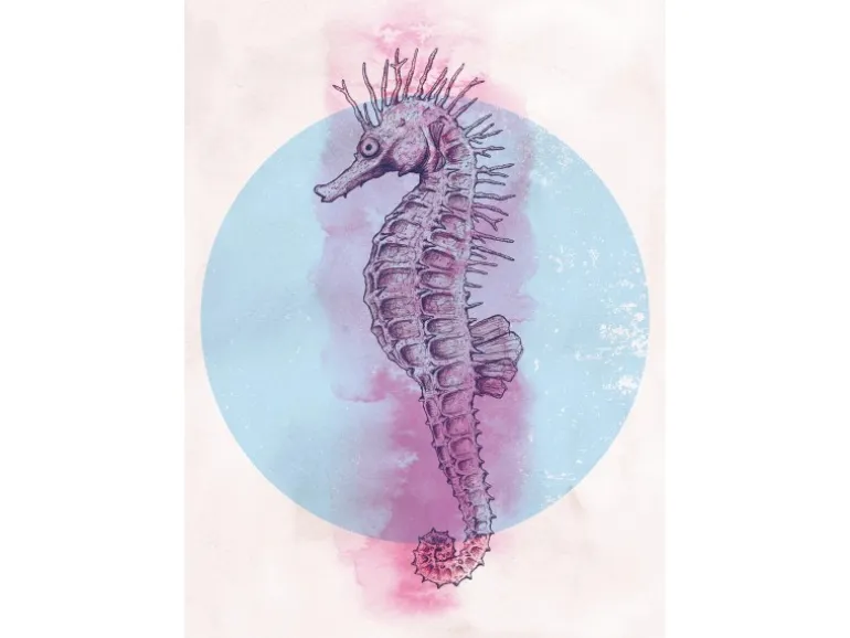 Komar Wandbild Sea Horse Circle 50 x 70 cm