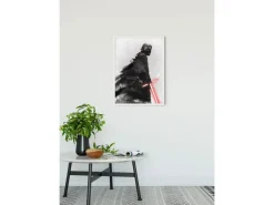 Komar Wandbild Star Wars Vader 40 x 50 cm