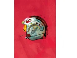 Komar Wandbild Star Wars Pilot 30 x 40 cm