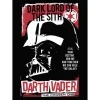 Komar Wandbild Star Wars Darth Vader The Chosen One 50 cm x 70 cm Rot