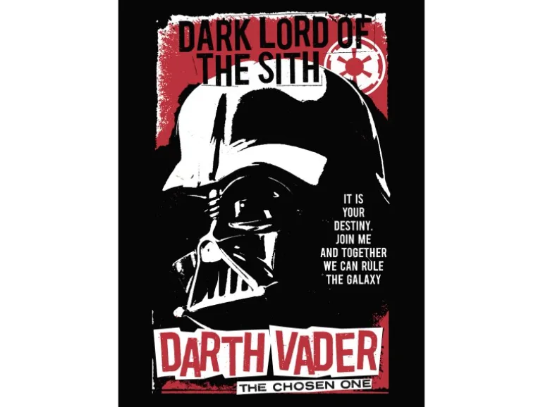 Komar Wandbild Star Wars Darth Vader The Chosen One 50 cm x 70 cm Rot