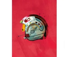 Komar Wandbild Star Wars Pilot 40 x 50 cm