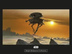 Komar Wandbild Star Wars Droid 40 x 30 cm