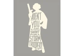 Komar Wandbild Star Wars Leia 40 x 50 cm gerollt