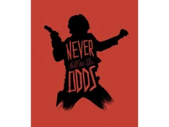 Komar Wandbild Star Wars Han Solo 40 x 50 cm gerollt