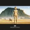 Komar Wandbild Star Wars Droids 50 x 40 cm