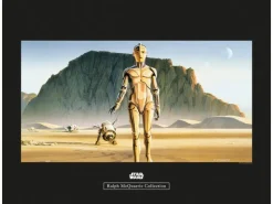 Komar Wandbild Star Wars Droids 50 x 40 cm