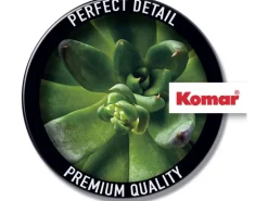 Komar Wandbild Succulent Single 40 cm x 50 cm