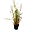 Kunstpflanze Ried Gras Hellbraun Topf-Ø 10 cm H 53 cm, Ø: 30 cm
