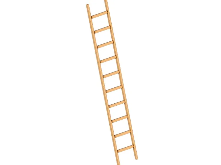 Layher 1052 Holzanlegeleiter 10 Sprossen