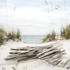 Leinwandbild Anonymus Sea View III 27 cm x 27 cm