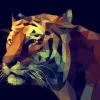 Leinwandbild Colourful Tiger 84 cm x 116 cm
