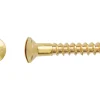Linsensenkkopf Holzschraube Schlitz-Antrieb Ø 2,5 mm x 16 mm 25 Stück