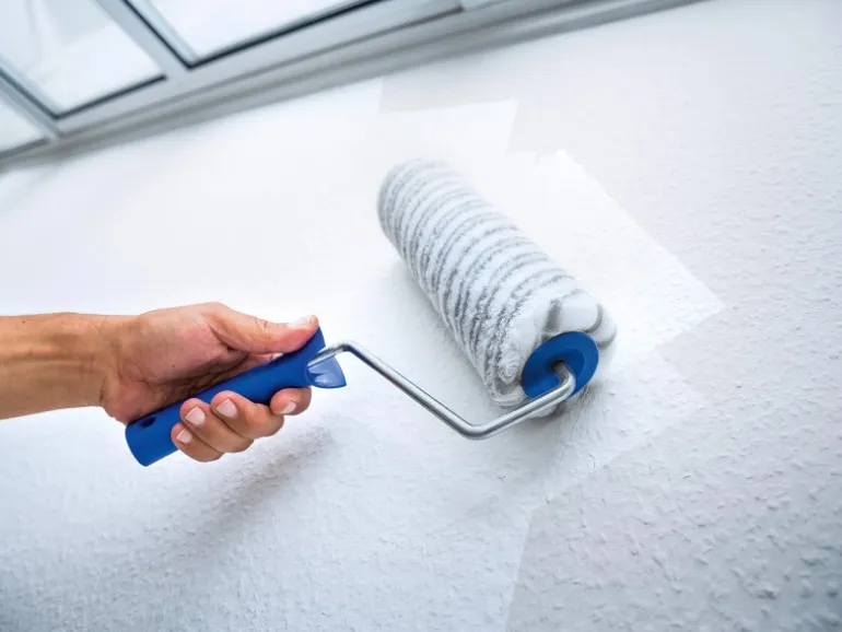 LUX Dispersionswalze 25 cm Polyester Langflor Rau