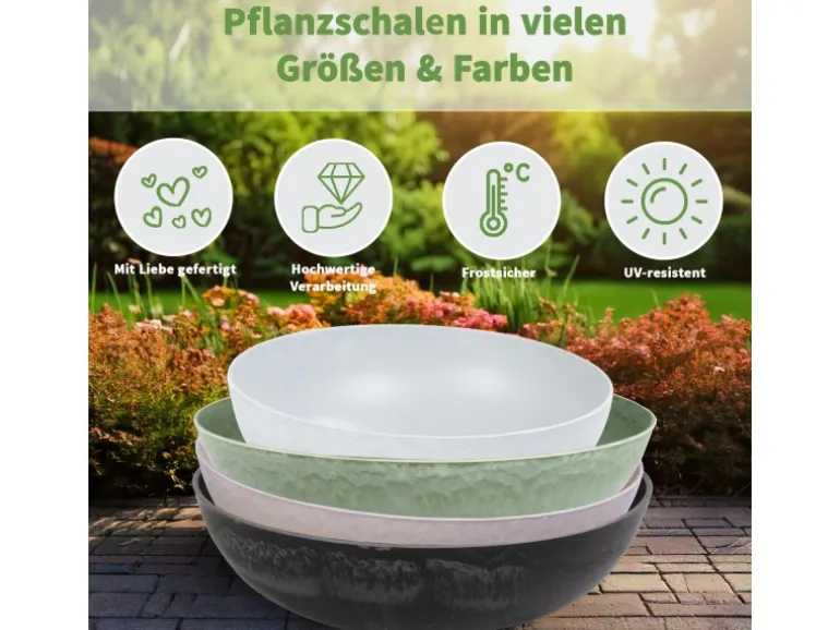 matches21 HOME&HOBBY Pflanzschale für Draussen in Champagner Beige 25 x 9 cm