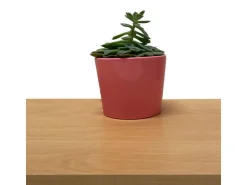 Möbelbauplatte Buche Holznachbildung 260 cm x 50 cm x 1,9 cm