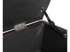 MCW Aufbewahrungs-Truhe Kriens Leder/Kunstleder 112x45x45cm Braun