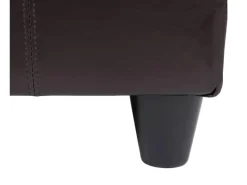 MCW Aufbewahrungs-Truhe Kriens Leder/Kunstleder 112x45x45cm Braun